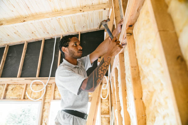 Best Attic Insulation Installation  in Kill Devil Hills, NC