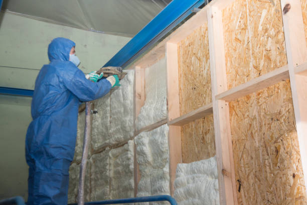 Best Home Insulation Services  in Kill Devil Hills, NC