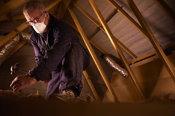 Best Residential Insulation Services  in Kill Devil Hills, NC